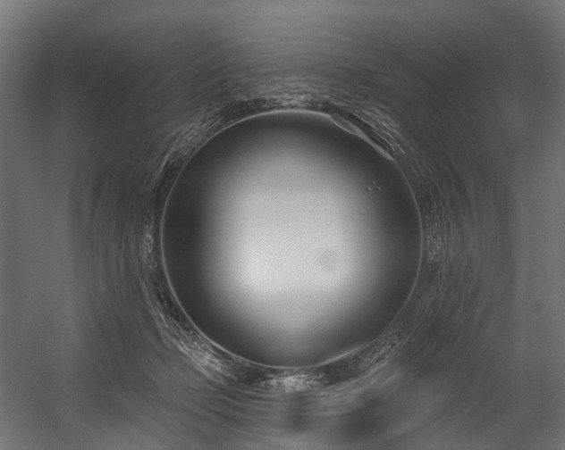 X0000054420365200507291255