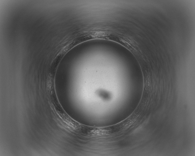 X0000054420367200507291255