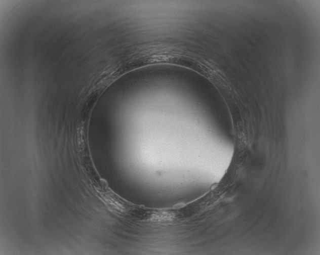 X0000054420369200507291255