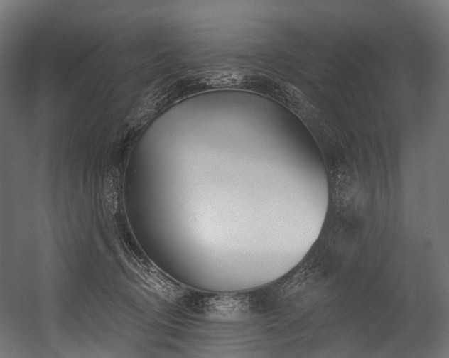 X0000054420370200507291255