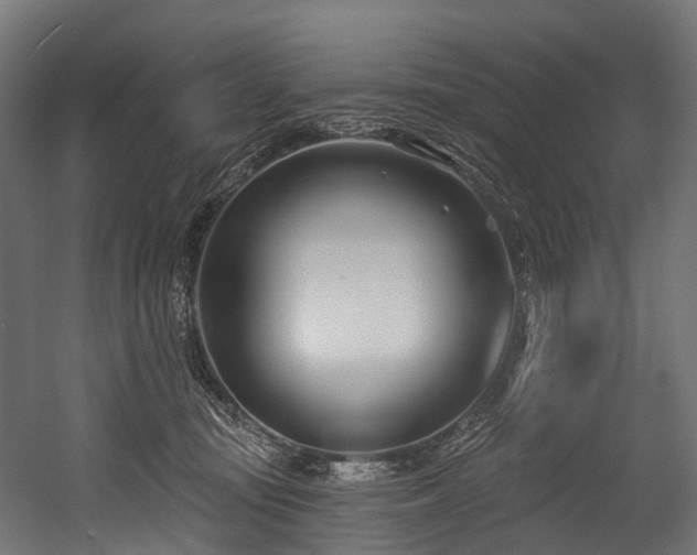 X0000054420371200507291255