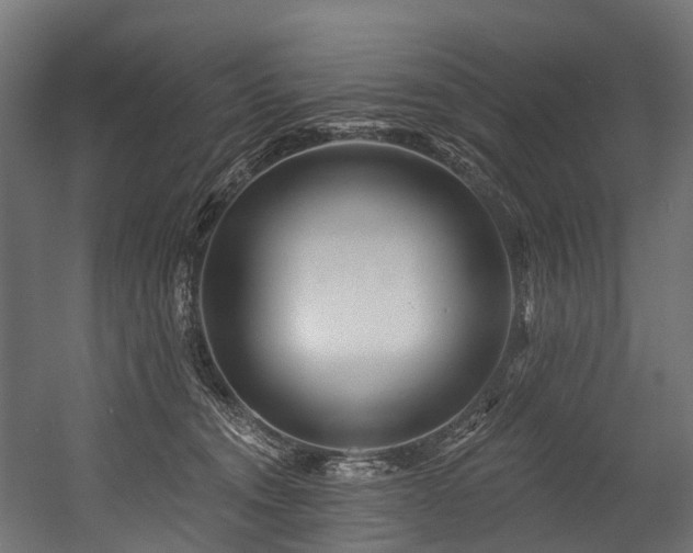 X0000054420372200507291255