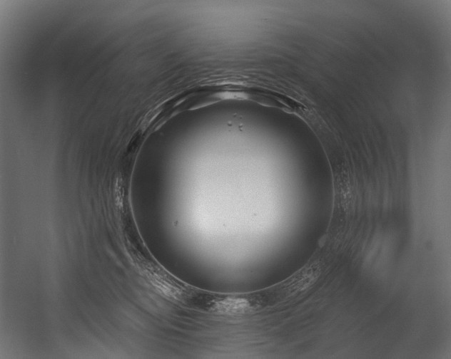 X0000054420374200507291255