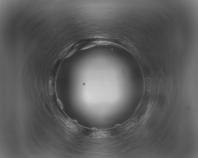 X0000054420378200507291255