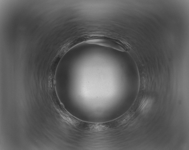 X0000054420379200507291255