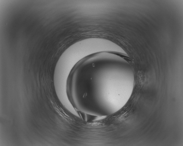 X0000054420380200507291255