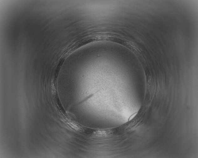 X0000054420381200507291255