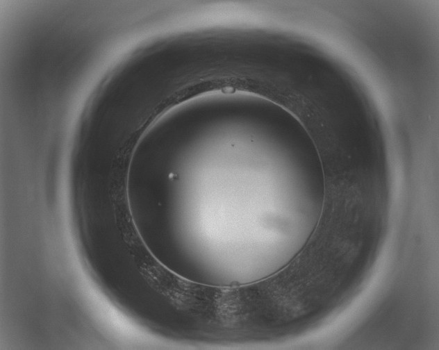 X0000054420382200507291255