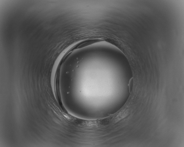 X0000054420384200507291255