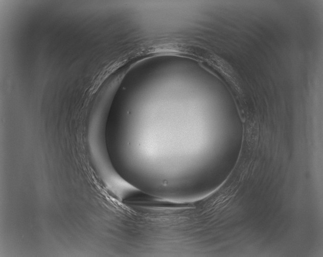 X0000054420385200507291255