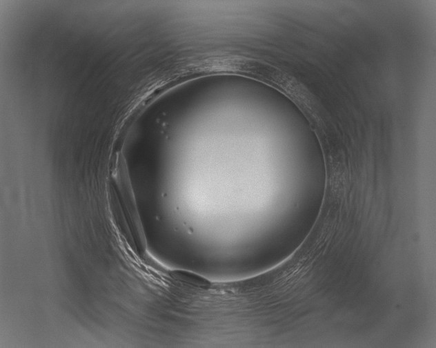 X0000054420386200507291255