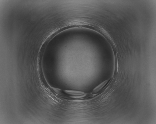 X0000054420387200507291254