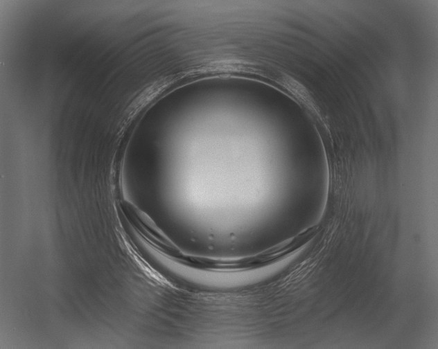 X0000054420389200507291254