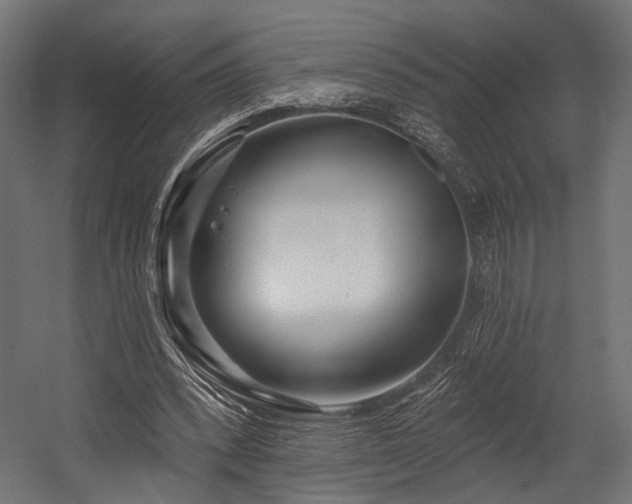 X0000054420392200507291254