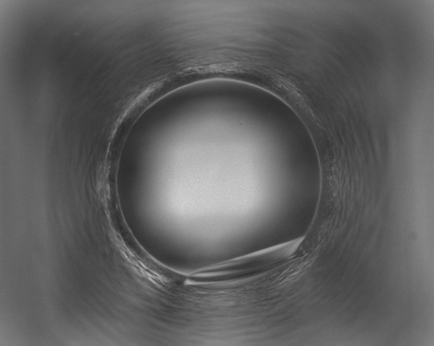 X0000054420395200507291254