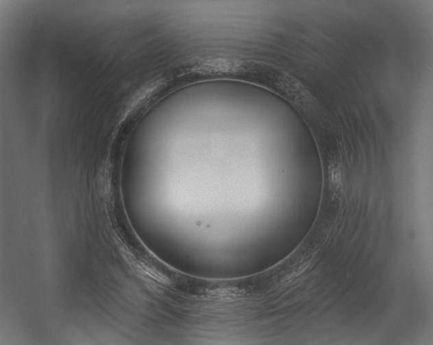 X0000054420396200507291254