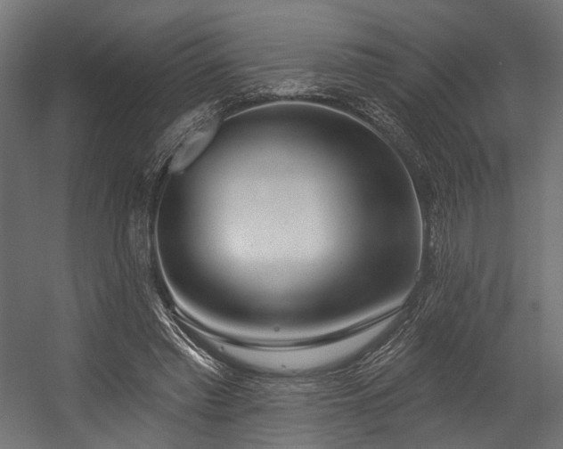 X0000054420397200507291254