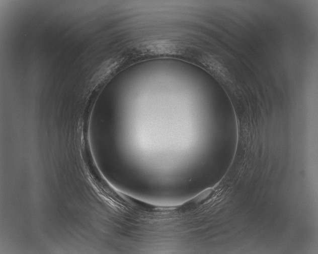 X0000054420398200507291254