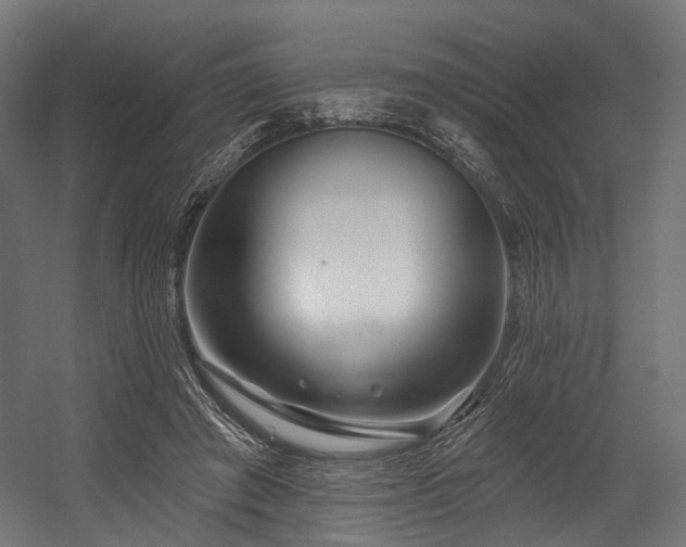 X0000054420401200507291254