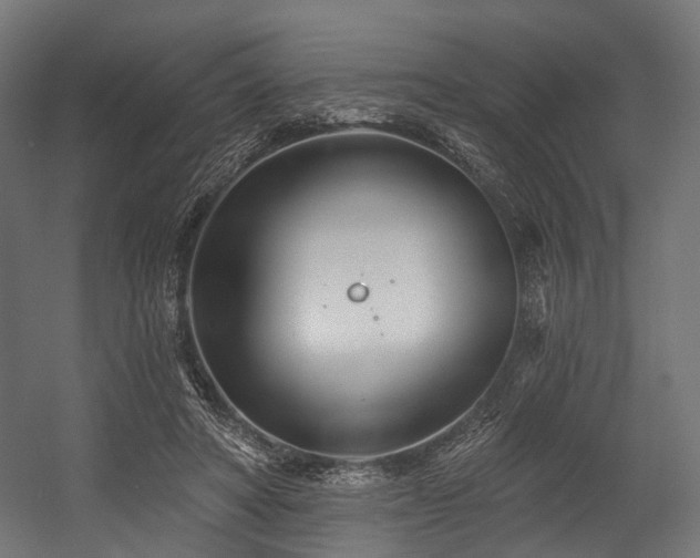 X0000054420402200507291254