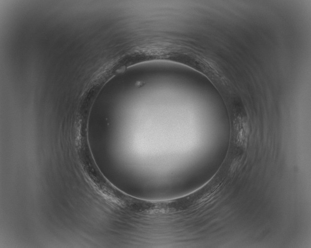 X0000054420404200507291254