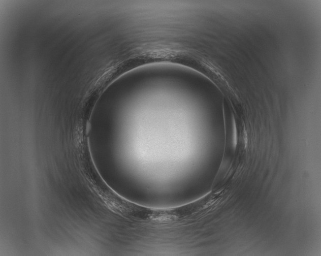 X0000054420407200507291254