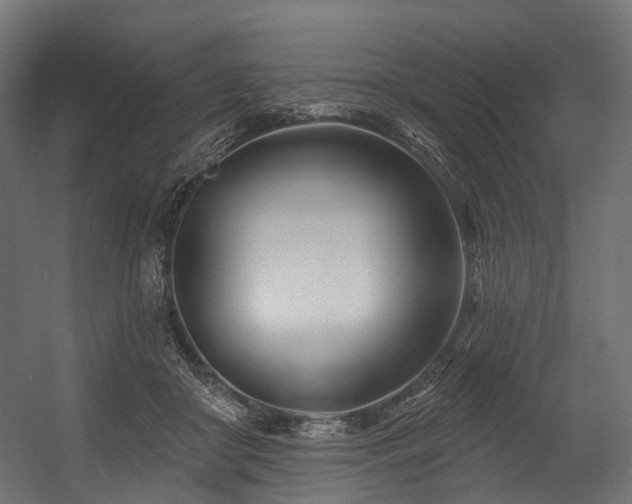 X0000054420410200507291254