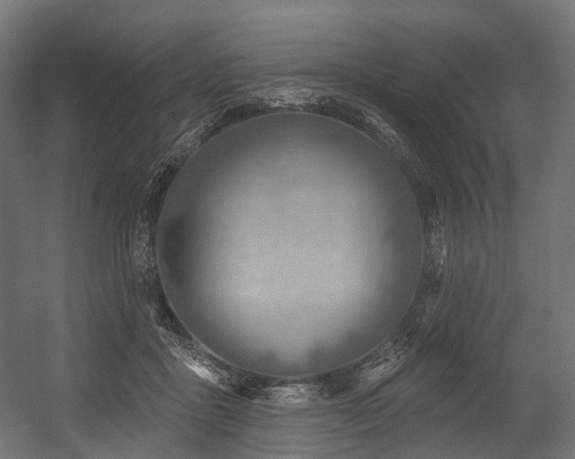 X0000054420411200507291254