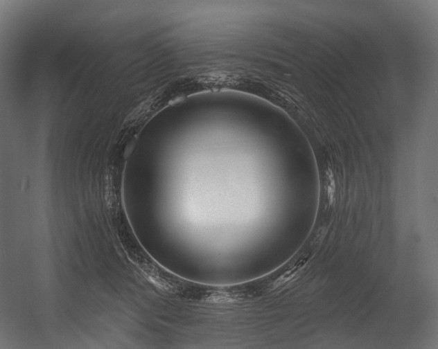 X0000054420416200507291254