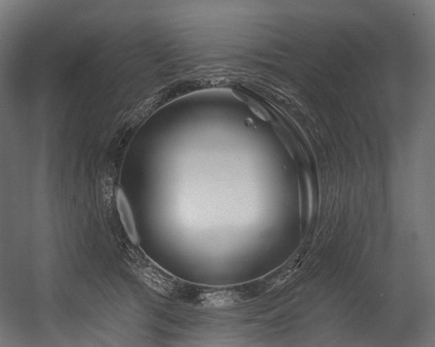 X0000054420417200507291254