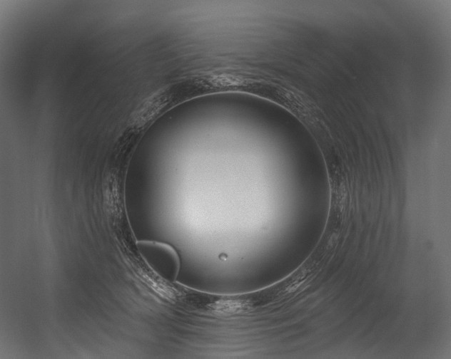 X0000054420418200507291254