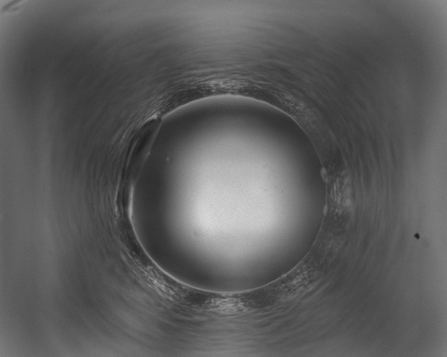 X0000054420424200507291254