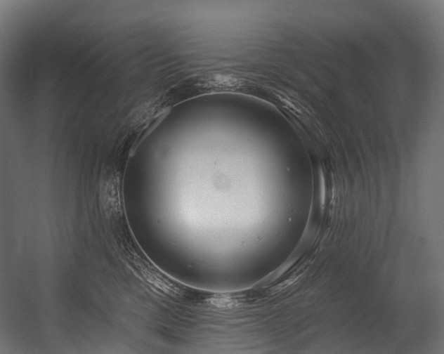 X0000054420425200507291254