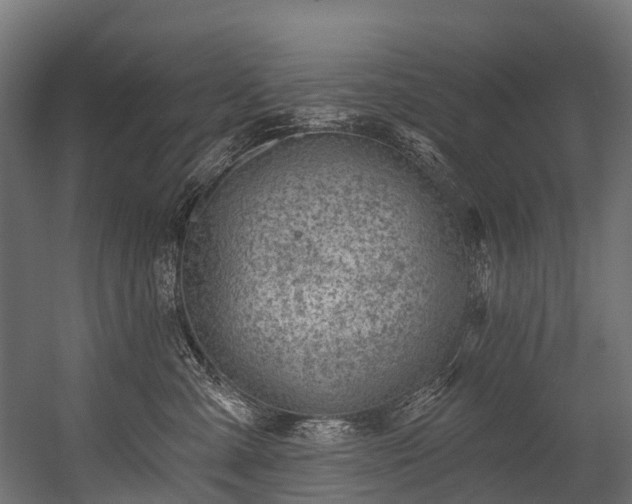 X0000054420427200507291254