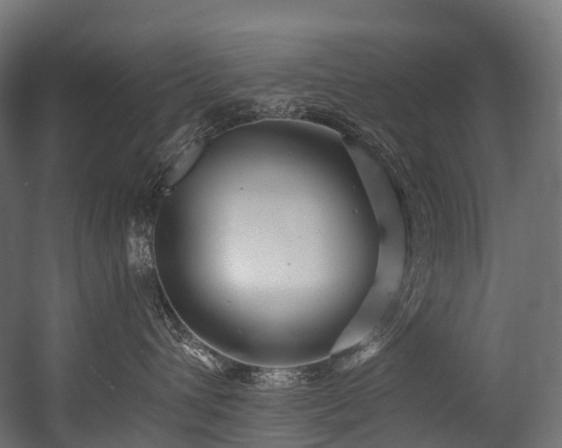 X0000054420432200507291254