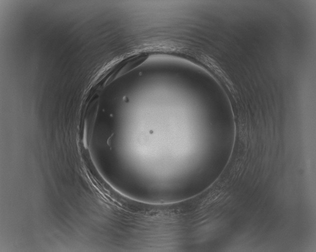 X0000054420434200507291253