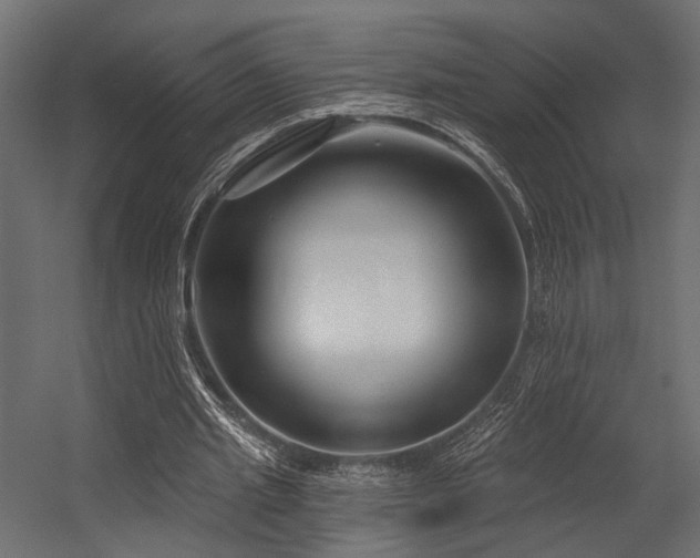 X0000054420437200507291253