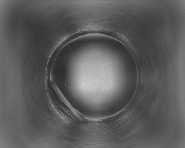 X0000054420439200507291253