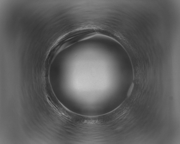 X0000054420440200507291253