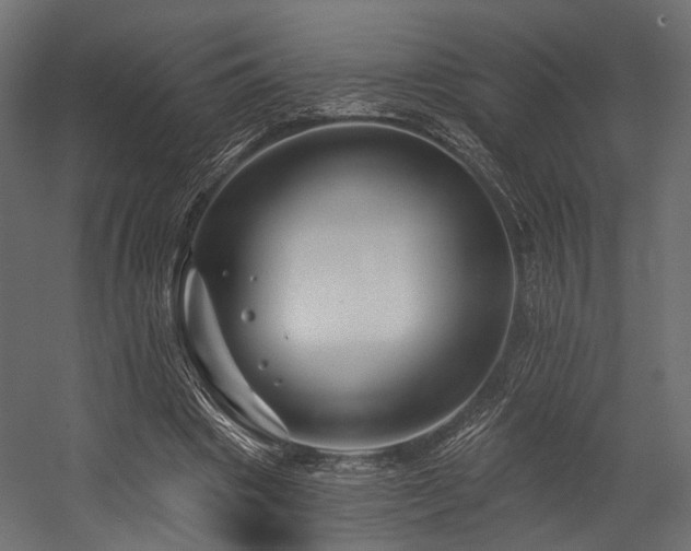 X0000054420441200507291253