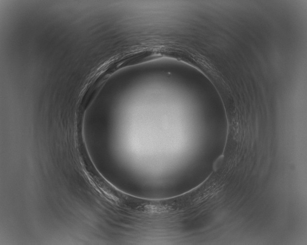 X0000054420442200507291253