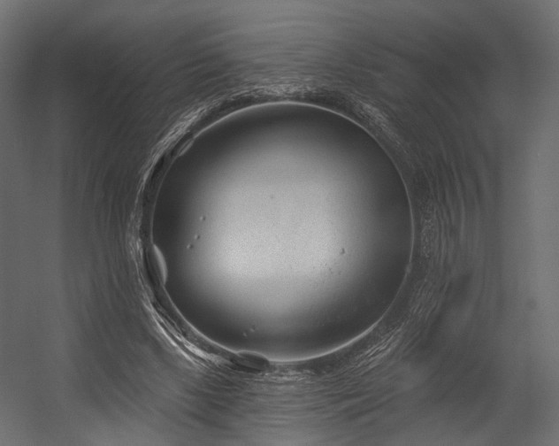 X0000054420443200507291253