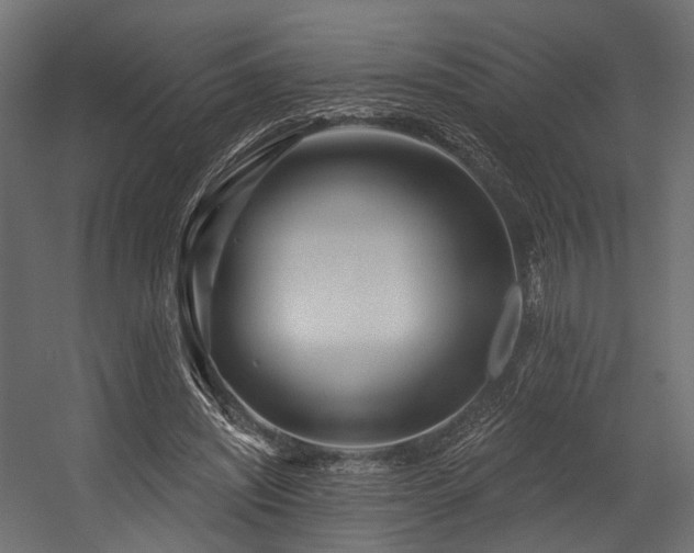 X0000054420444200507291253