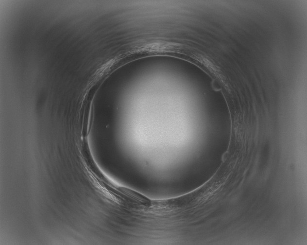 X0000054420445200507291253