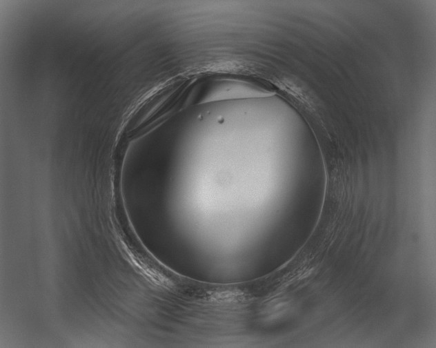 X0000054420446200507291253