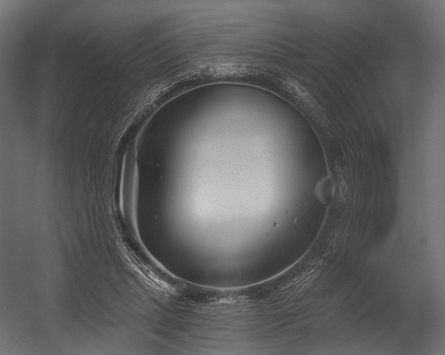 X0000054420447200507291253