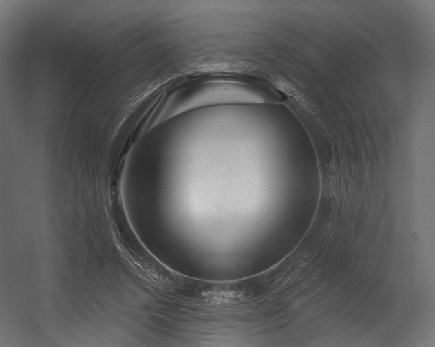 X0000054420448200507291253