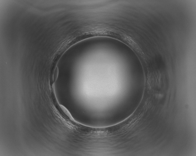 X0000054420449200507291253