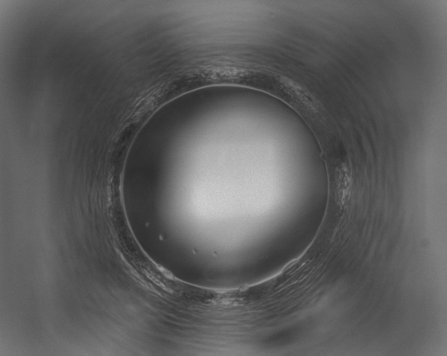 X0000054420451200507291253