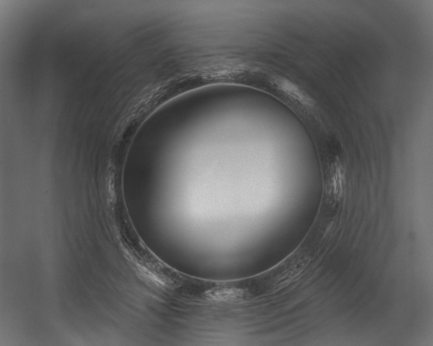 X0000054420452200507291253